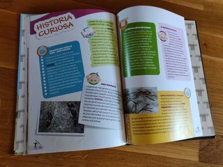 Historia Universal La Prehistoria