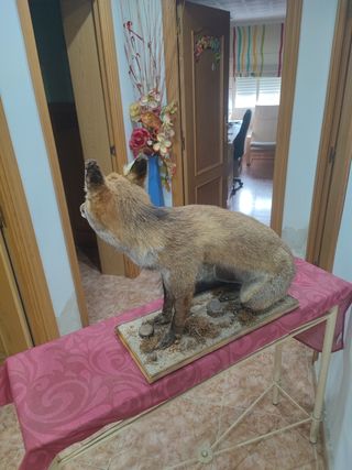 Figura decorativa