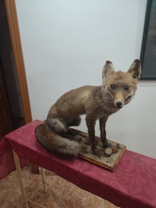 Figura decorativa