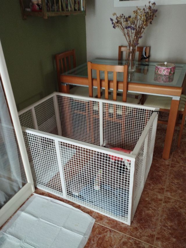 Parque para perritos