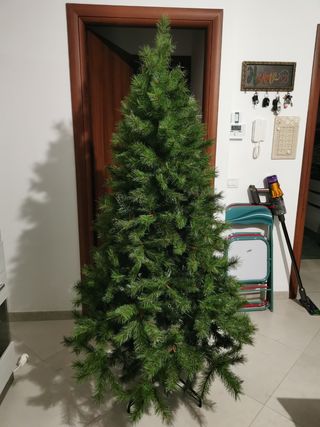 Albero di natale