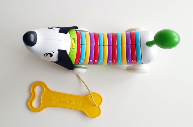 Perrito educativo niños