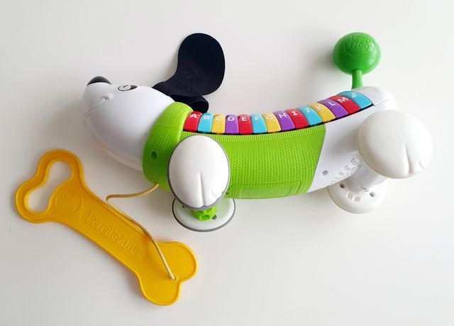 Perrito educativo niños