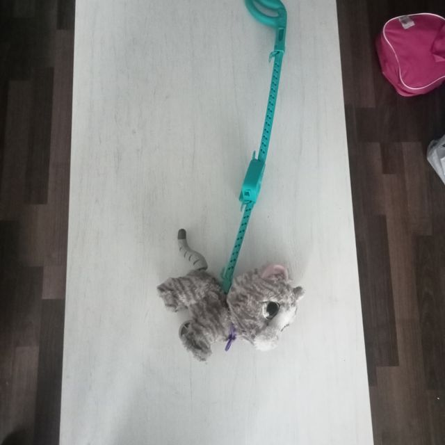 Mascota de Paseo de Juguete