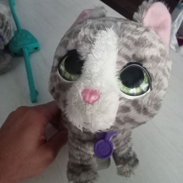 Mascota de Paseo de Juguete