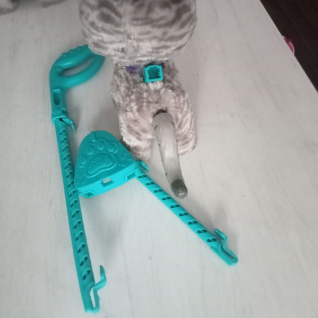 Mascota de Paseo de Juguete