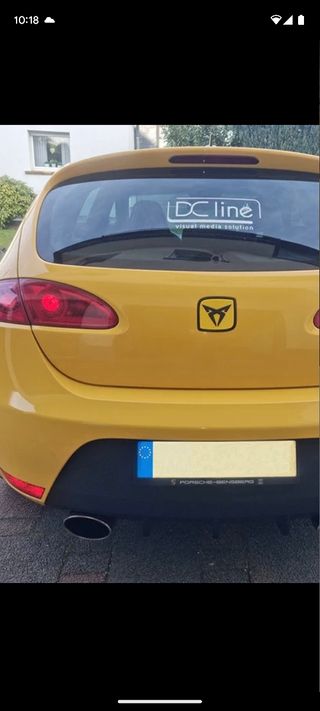 PABLO Logo delantero y trasero león MK2