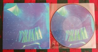 VINILO NIRVANA PICTURE NEVERMIND LIVE