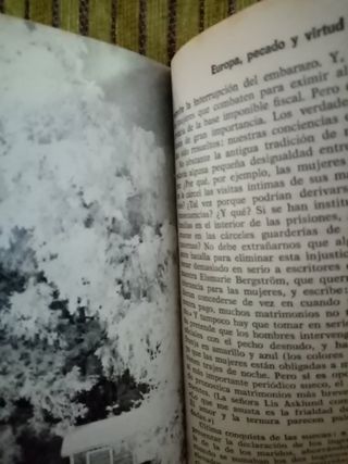 EUROPA,  PECADO  Y  VIRTUD