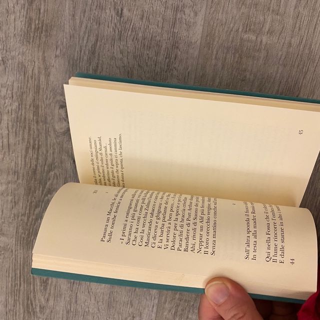 Libro: “IL GINECEO” di Mehmet Gayuk