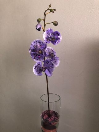 fiore 