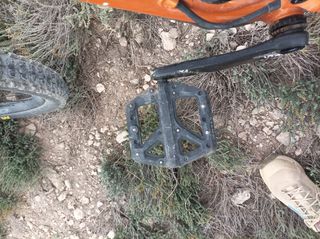 Orbea Occam H20 eagle