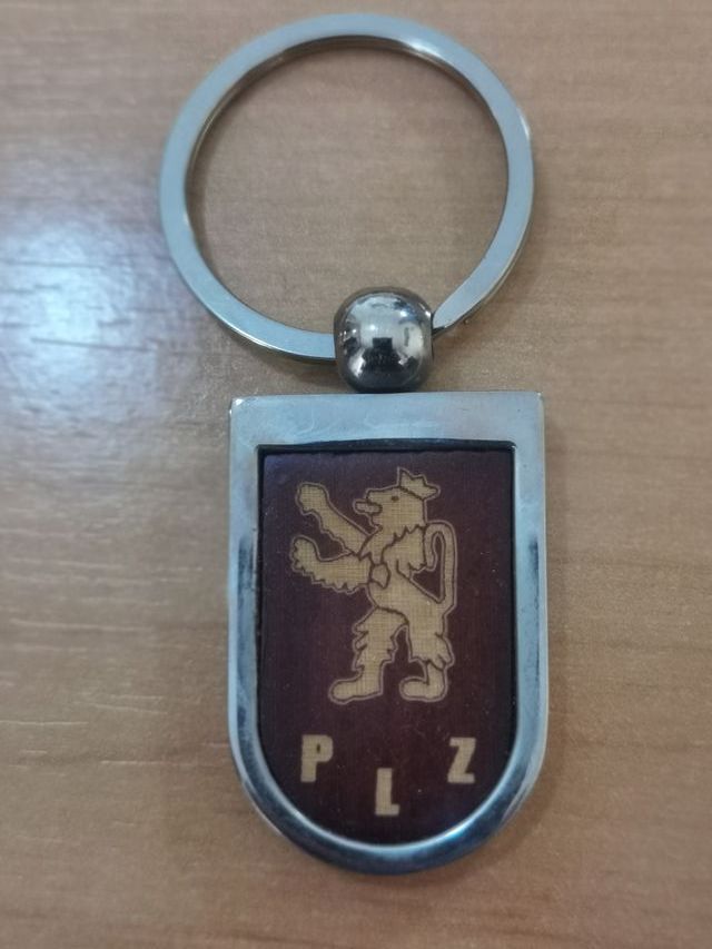 Pins Militares e Paramilitares