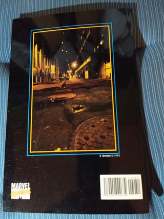 PUNISHER P.O.V N° 1 Forum