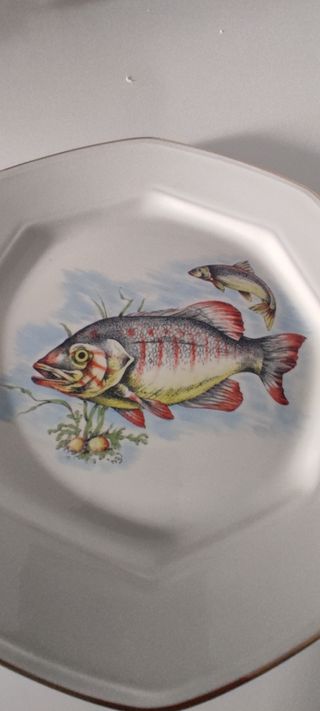 Piatti set da 6vintage Tognana porcellana