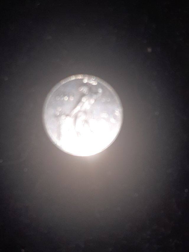 Monete 50 lire anche con testa piccola