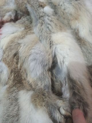 Chaqueta de conejo 