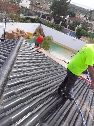 Cubiertas y tejas TLF.651429938