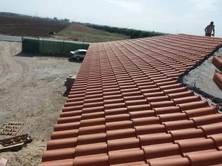 Cubiertas y tejas TLF.651429938