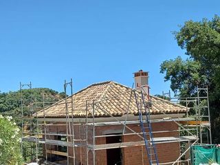 Cubiertas y tejas TLF.651429938