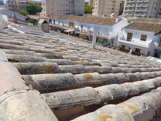 Cubiertas y tejas TLF.651429938