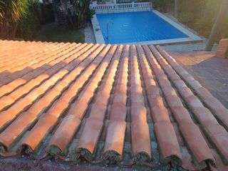 Cubiertas y tejas TLF.651429938