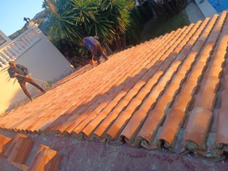 Cubiertas y tejas TLF.651429938