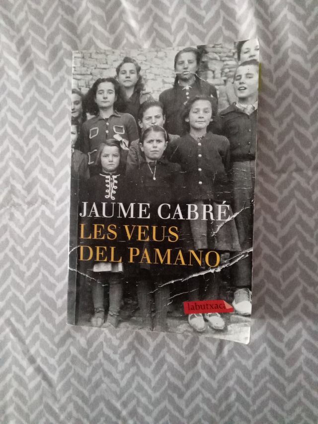 Novelas en valenciano