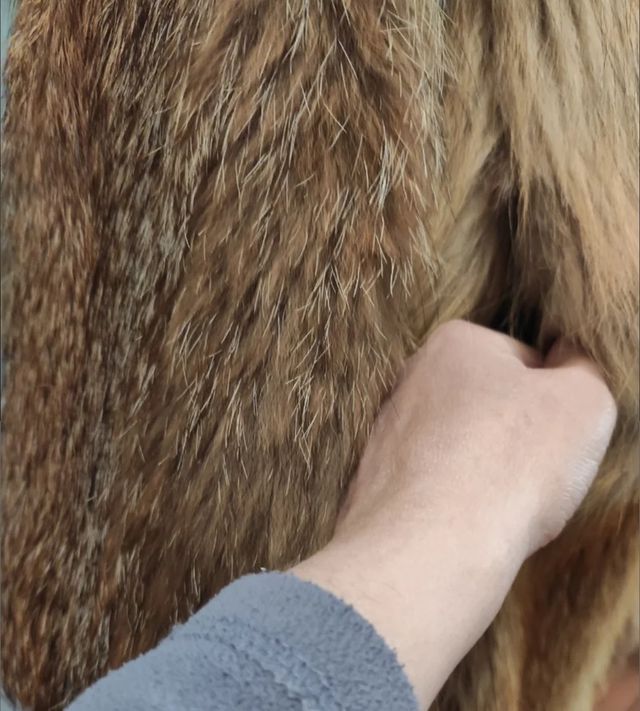 Abrigo de zorro auténtico