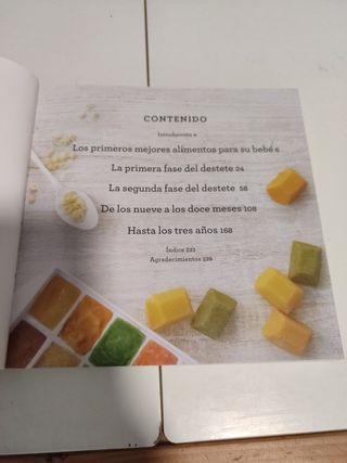 Plan de alimentacion bebès y niños