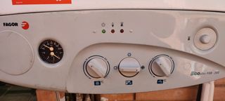 CALDERA A GAS NATURL FAGOR