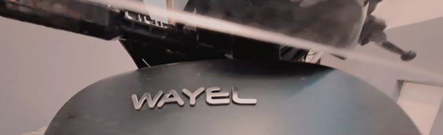 WAYEL
