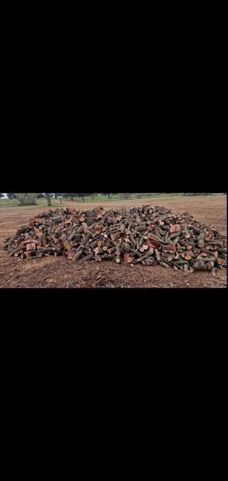 PRECIO DE LOCOS CARRASCA DE CALIDAD