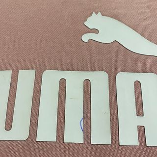 Puma Essentials Felpa Cappuccio Bambina Ragazza