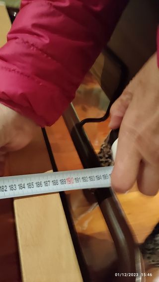 Cama articulada eléctrica