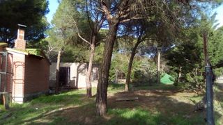 Finca rústica con agua propia.