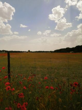 Finca rústica con agua propia.