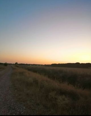 Finca rústica con agua propia.