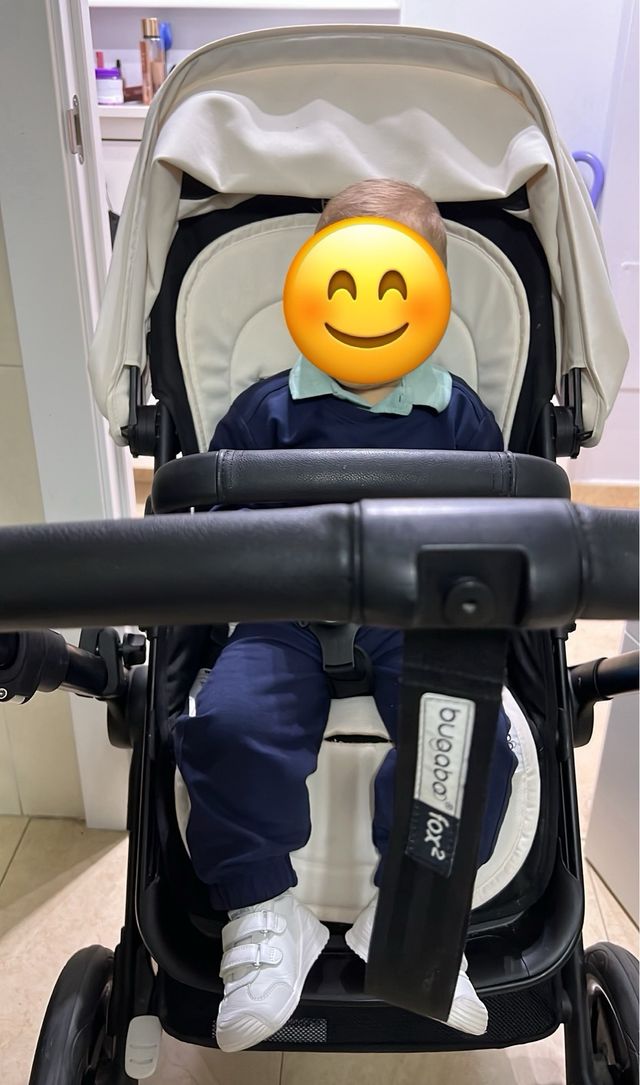 Carro Bugaboo
