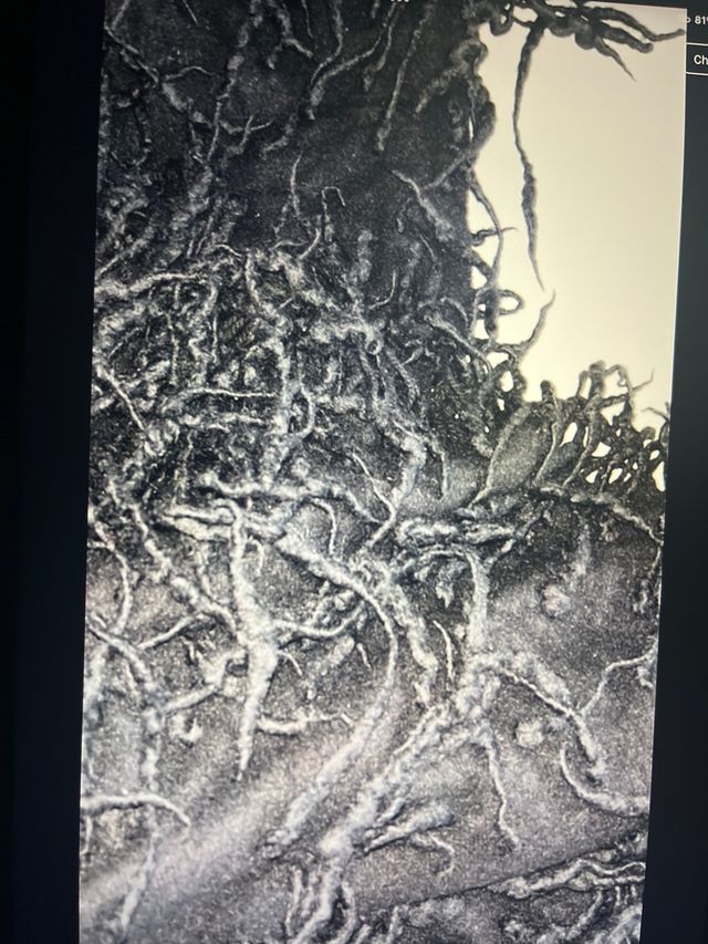 scalda piedi in lana con particolare lavorazione