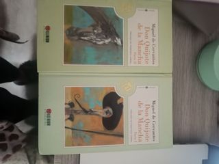 Don quijote