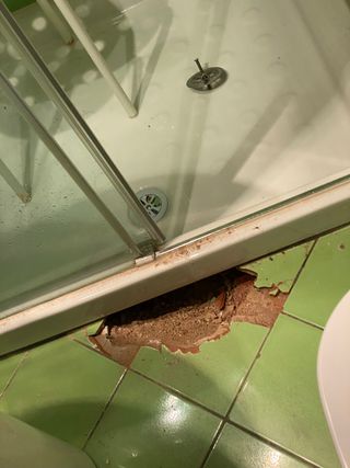 Fontanero 