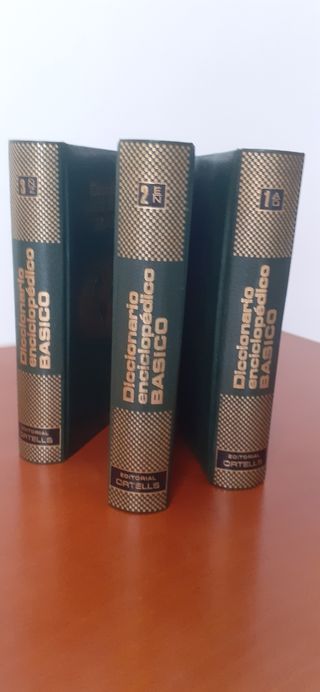 DICCIONARIO ENCICLOPÉDICO BASICO