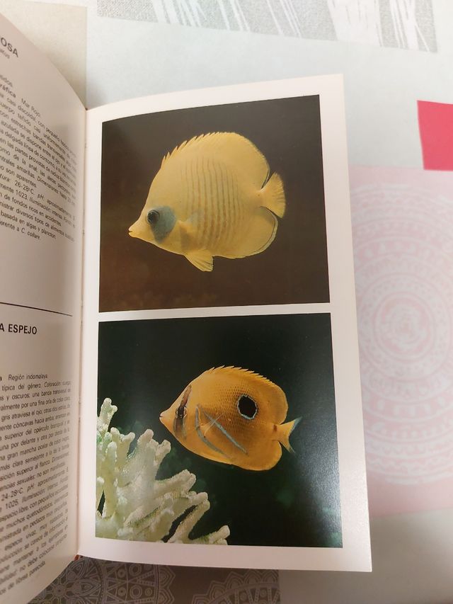 Coleccionismo.  PECES.