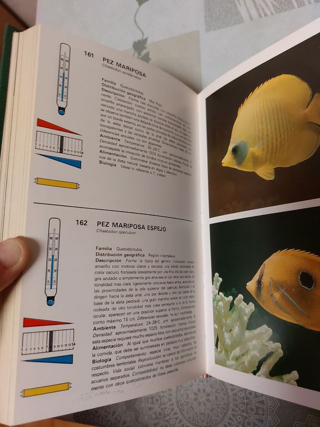 Coleccionismo.  PECES.