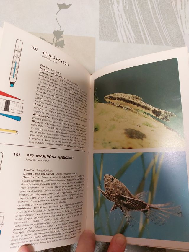 Coleccionismo.  PECES.