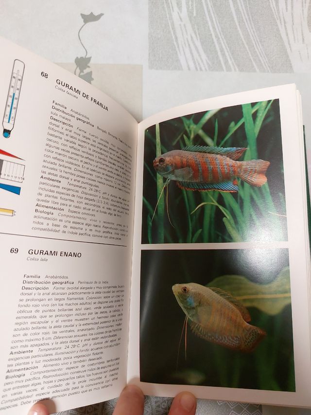 Coleccionismo.  PECES.