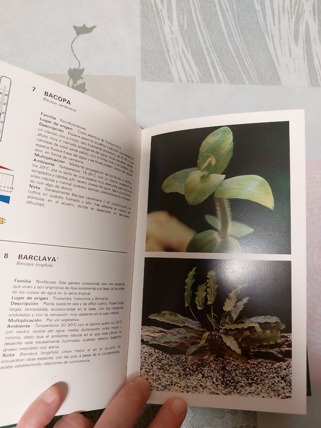 Coleccionismo.  PECES.