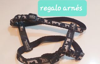 Abrigos y arneses para mascotas