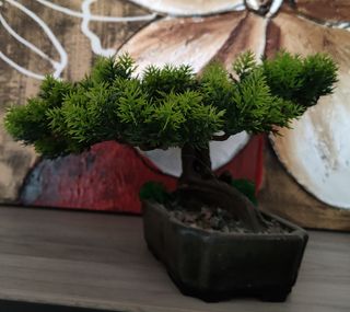 Bonsai artificial realizado a mano.